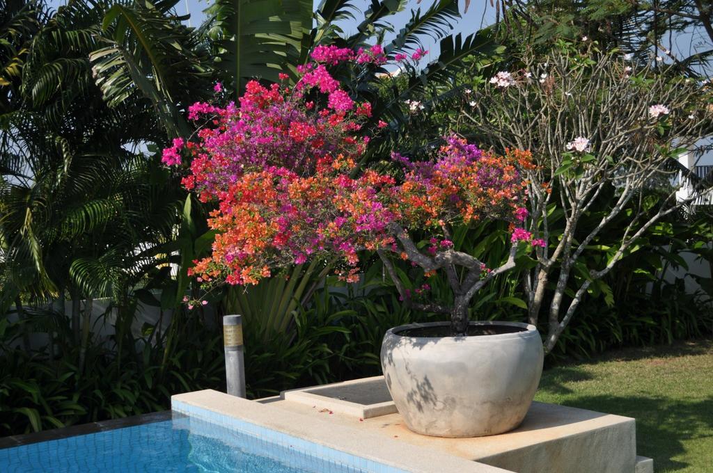 Balinese villa with private pool HHQ Esterno foto
